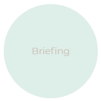 Briefing